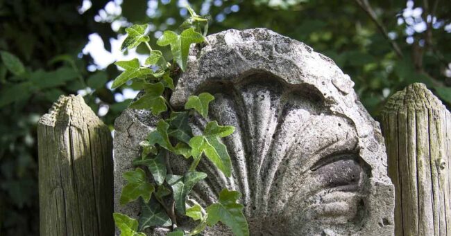 The most memorable moments of pilgrims on the Way of St. James